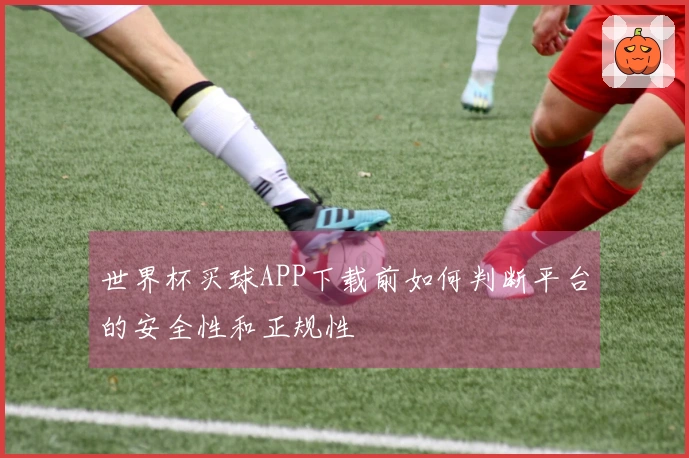 世界杯买球APP下载前如何判断平台的安全性和正规性