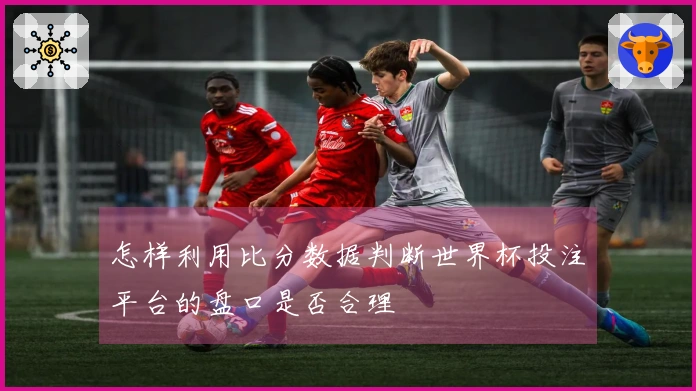 怎样利用比分数据判断世界杯投注平台的盘口是否合理